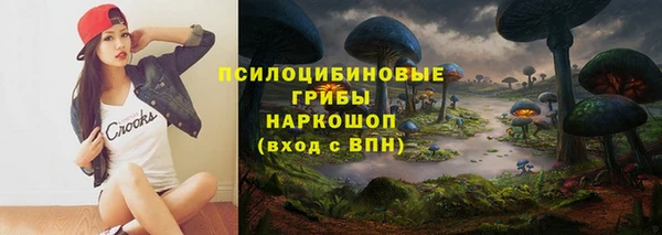 трава Арсеньев