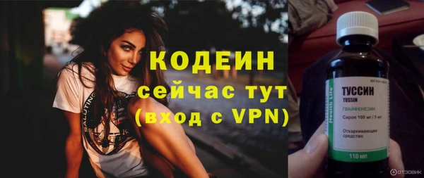 PSILOCYBIN Тында