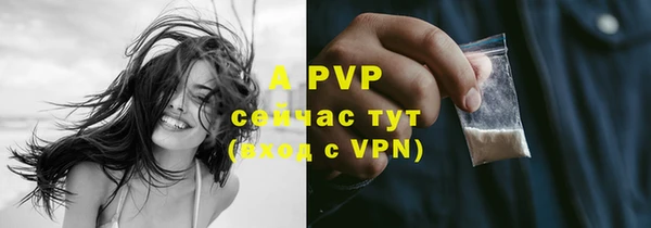 стафф Армянск