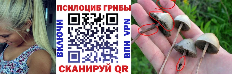 Галлюциногенные грибы Magic Shrooms  дарнет шоп  Усинск 