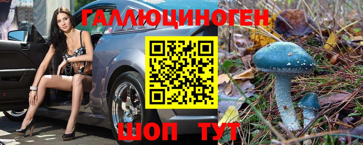 Псилоцибиновые грибы мицелий Усинск